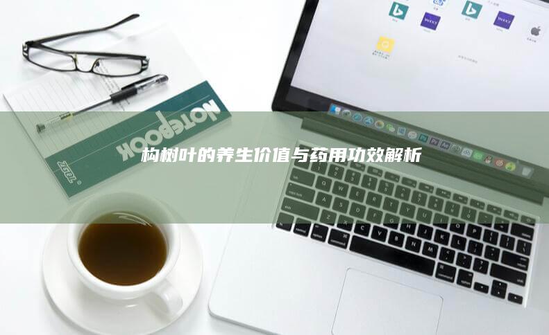 构树叶的养生价值与药用功效解析